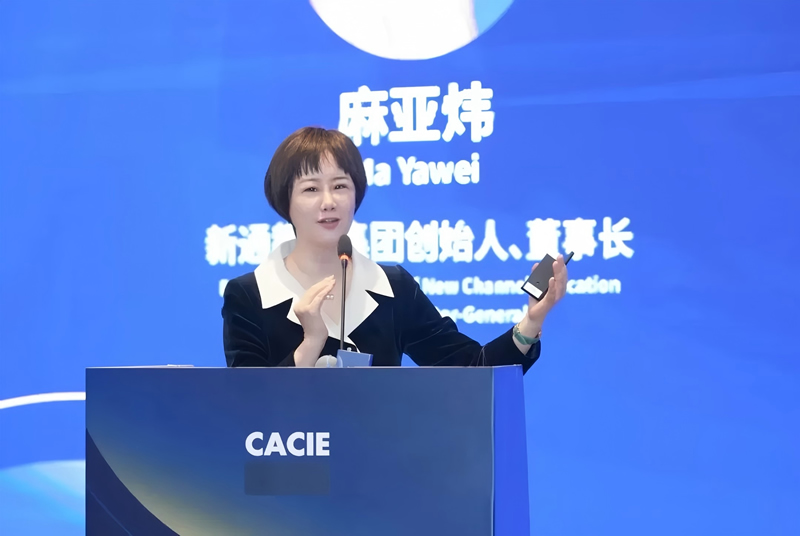 新通教育创始人、董事长 麻亚炜