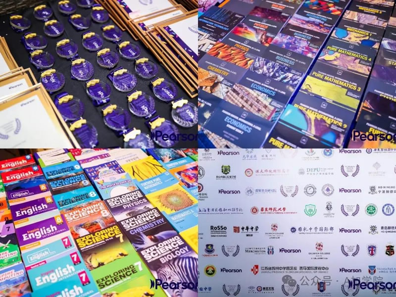 新通视角:以深耕之力链接优质资源