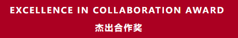 杰出合作奖