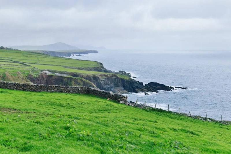 ��������Ȼ���