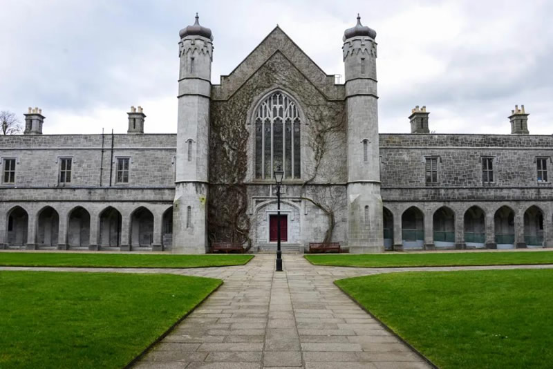 ������ѧ