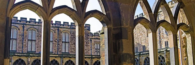 ��ѧ����ҵ